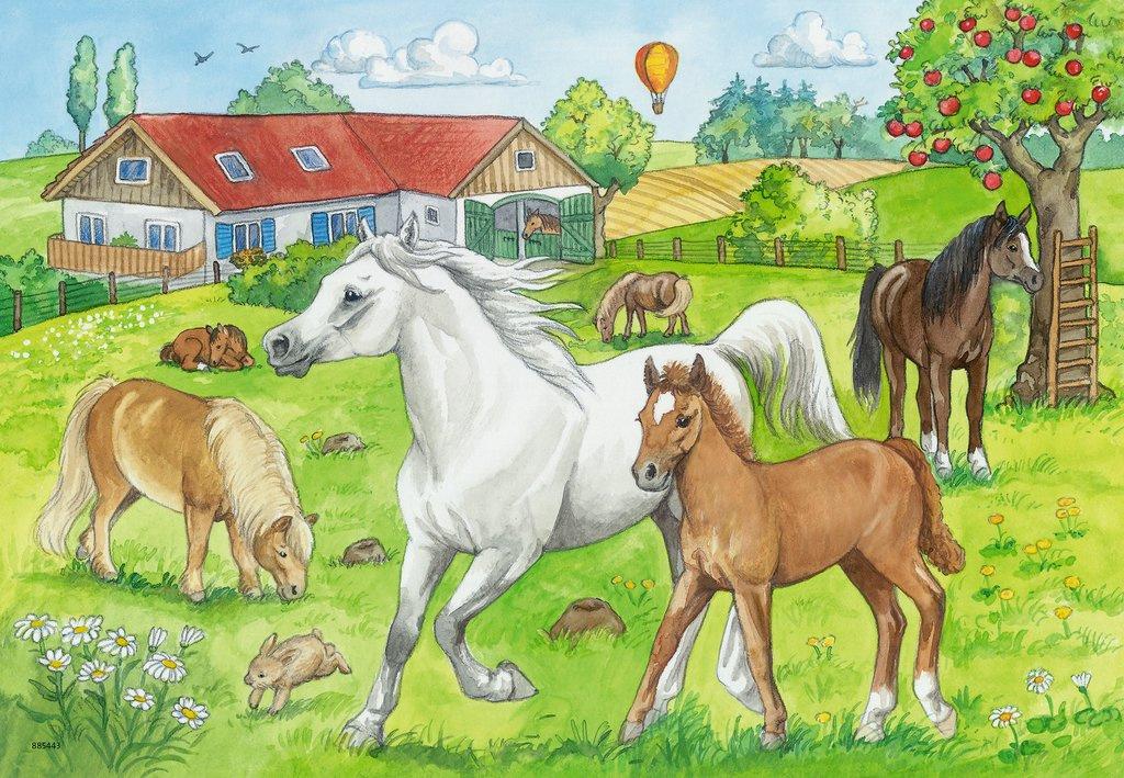 Produktbild Ravensburger Puzzle - Auf dem Pferdehof, 24 Teile 3 von 3