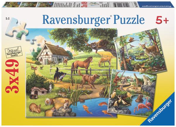 Ravensburger Puzzle - Wald-/Zoo-/Haustiere, 3 x 49 Teile