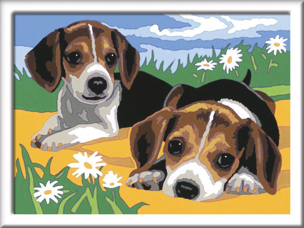 Ravensburger Beschäftigung - CreArt - Malen nach Zahlen  28329 - Jack Russel Welpen – Kinder ab 7 Jahren