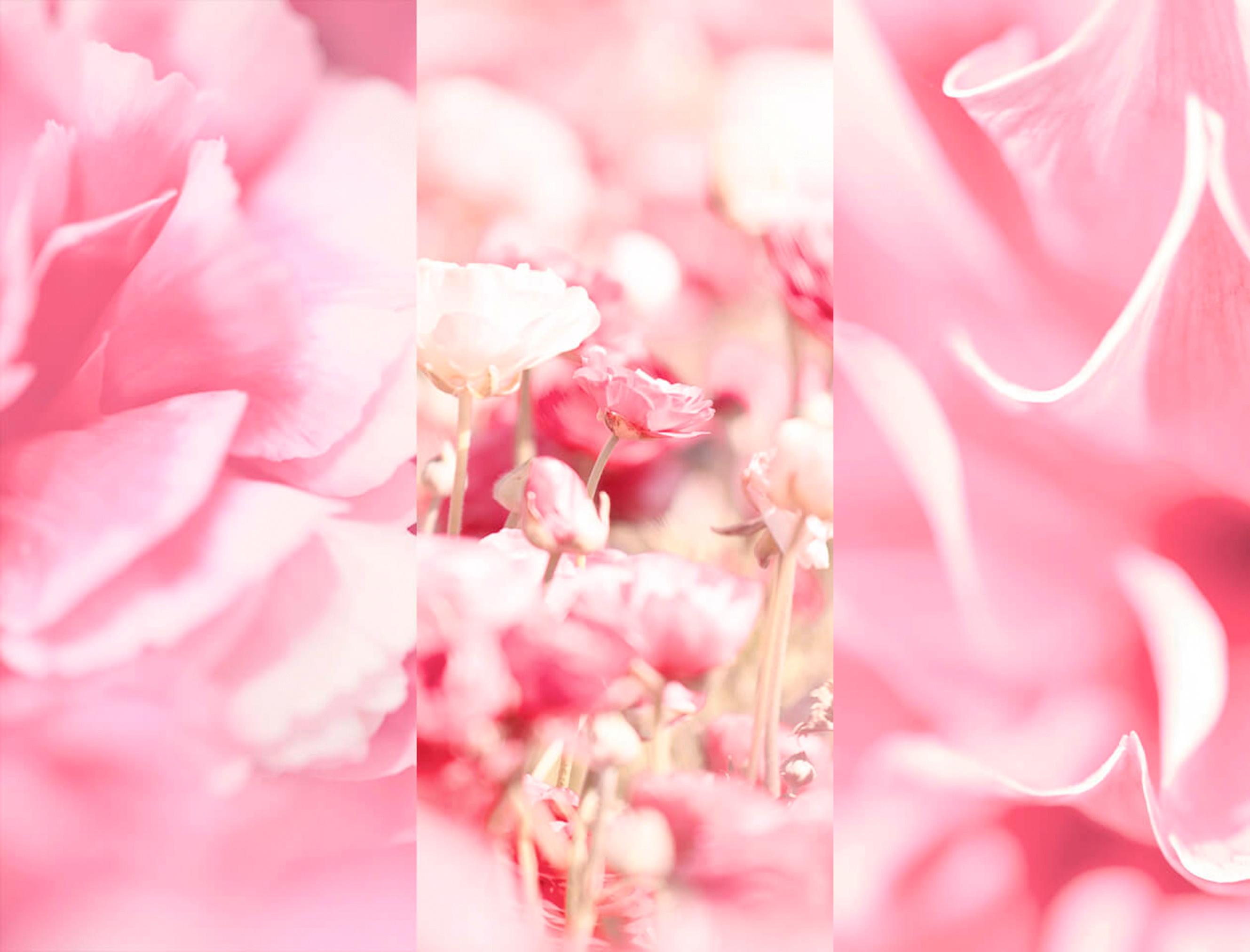 Produktbild 8X4 Deospray No.3 Velvet Blossom 5 von 5