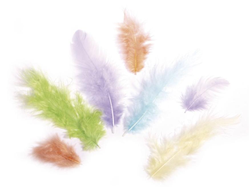 rayher Federmischung 3-10 cm - 10 g - 6 Farben