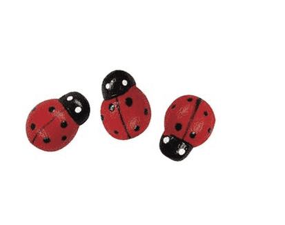 rayher HOLZSTREUT. MARIENKAEFER 1 CM, 24STK. 8868700