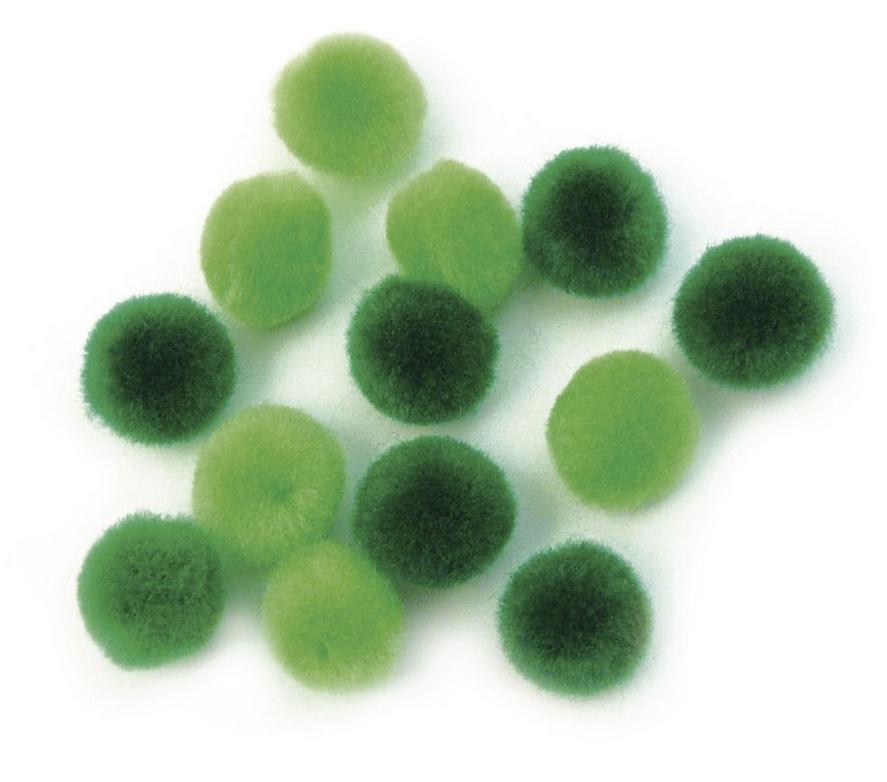 rayher Pompons 15 mm, SB-Btl. 60 Stück, grün sortiert