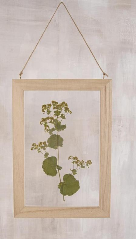Produktbild rayher Blumenpresse Natur Credit21x30cm 4 von 6