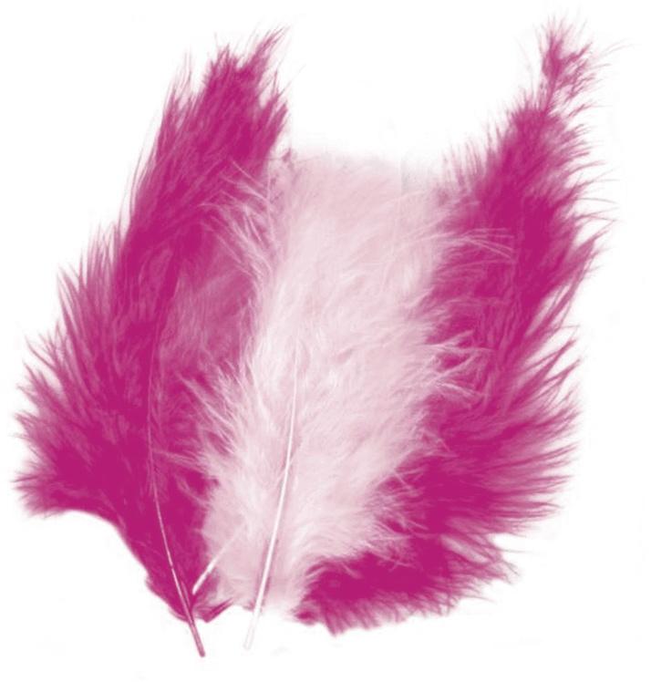 rayher FLAUSCHFEDER MISCHUNG PINK/ROSA 85167264