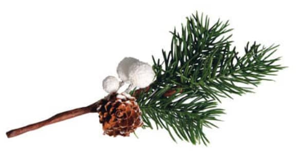 rayher Deko-Zweig mit weißen Beeren