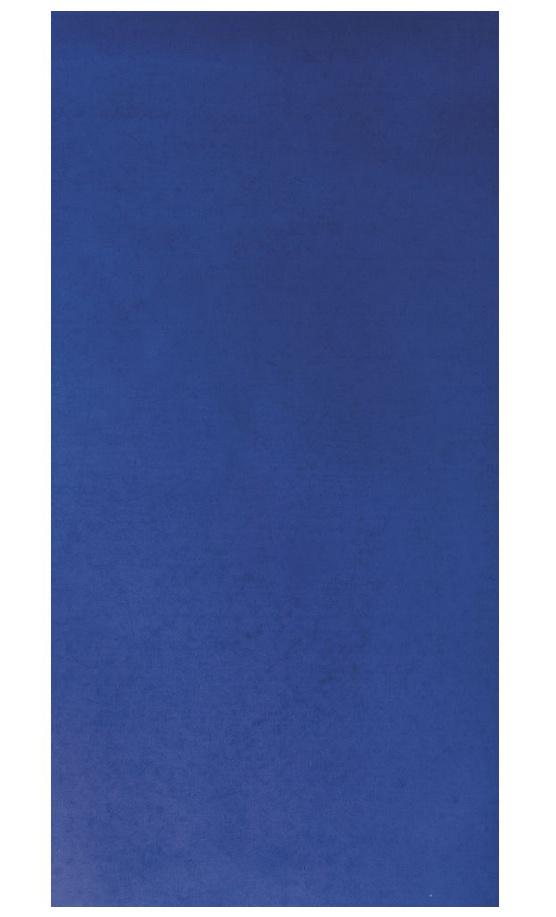 rayher WACHSFOLIE DBLAU 20 X 10 CM 2 STUECK 3103710