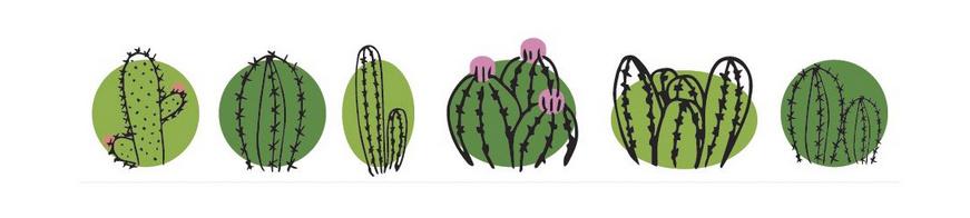 rayher Washi Tape Cactus Family 15mmx 10m