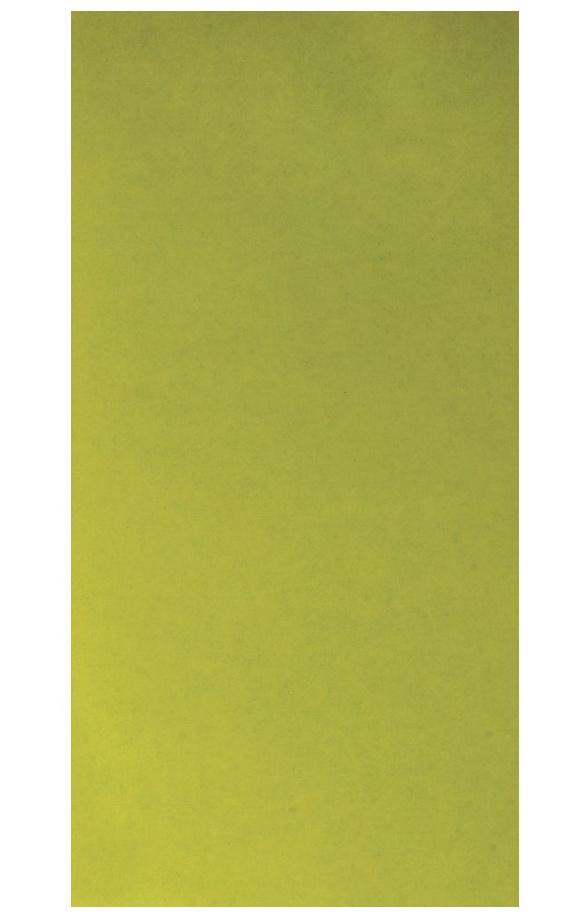 rayher WACHSFOLIE HELLGRUEN 20 X 10 CM 2 STUECK 3103711