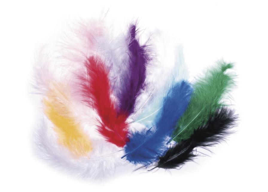 rayher FLAUSCHFEDER GEMISCHT 8516849