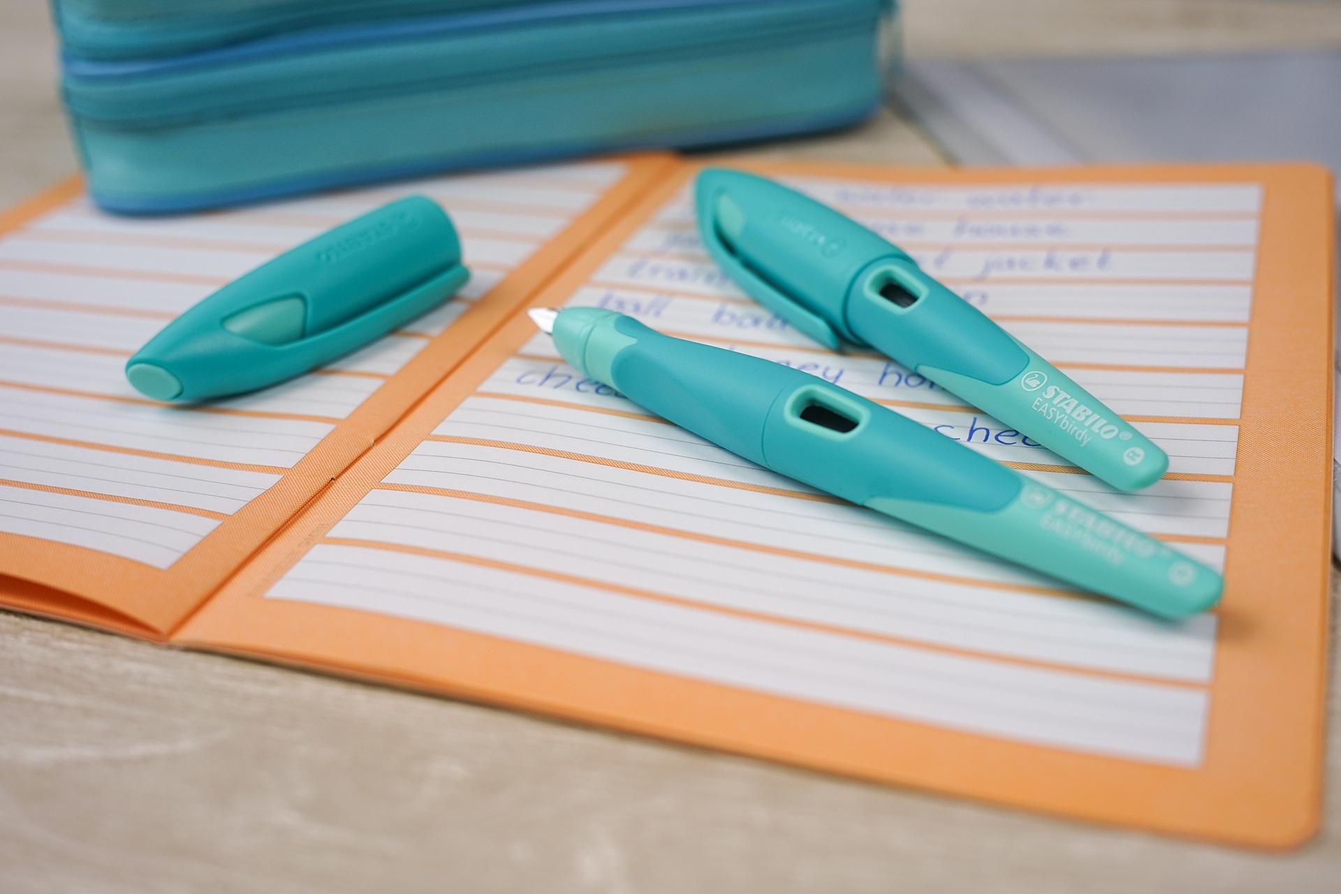 Produktbild STABILO® EASYbirdy Füller für Rechtshänder in blau/hellblau inklusive Patrone - Schreibfarbe blau (löschbar) 8 von 8