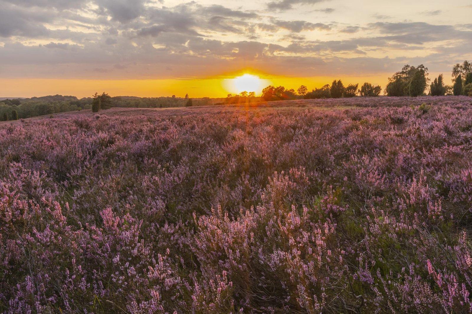 Produktbild HEIMAT NATUR 4 von 10