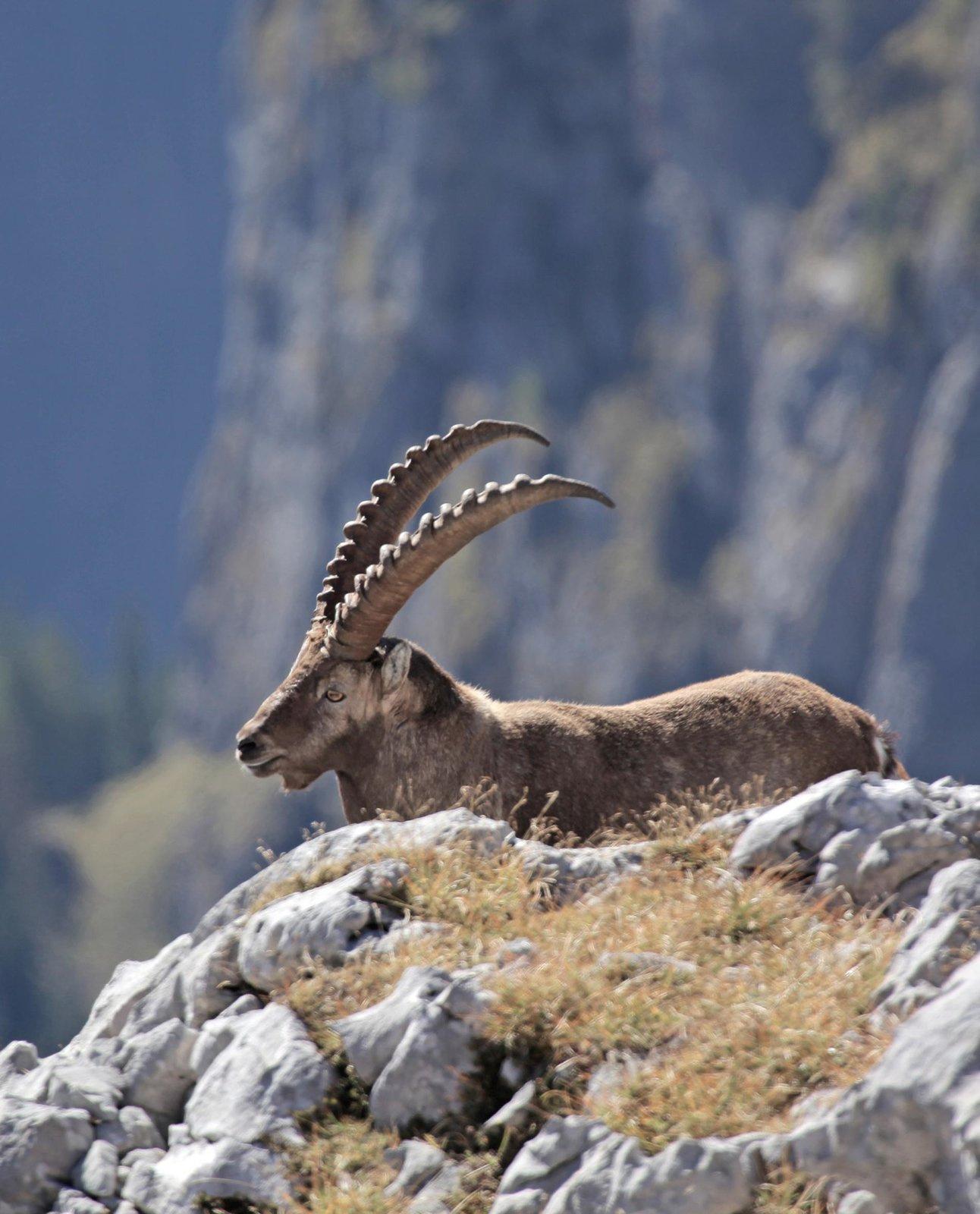 Produktbild HEIMAT NATUR 8 von 10