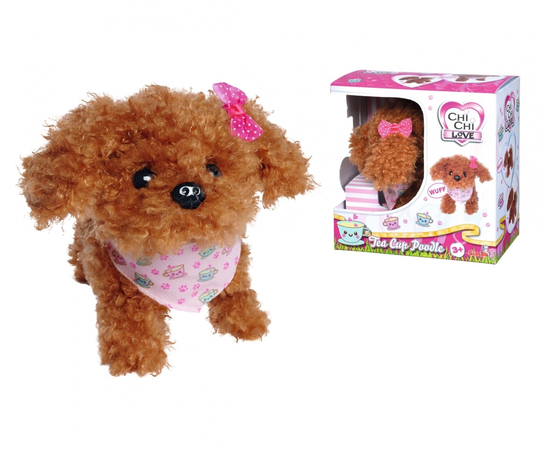 Simba - Chi Chi Love - Tea Cup Poodle Puppy