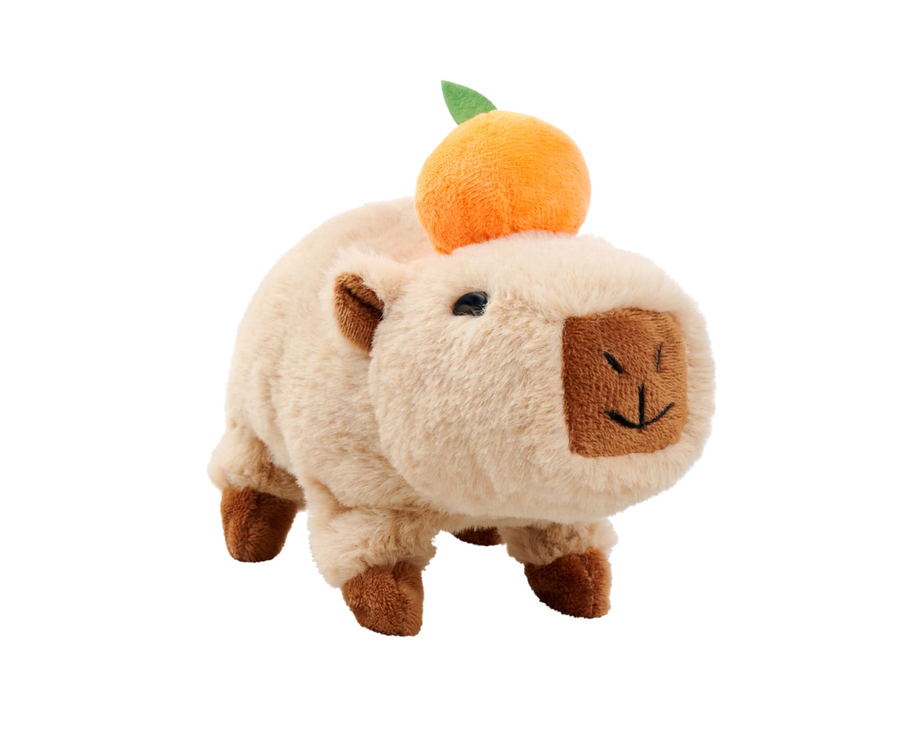 Simba - PetZoo Capybara