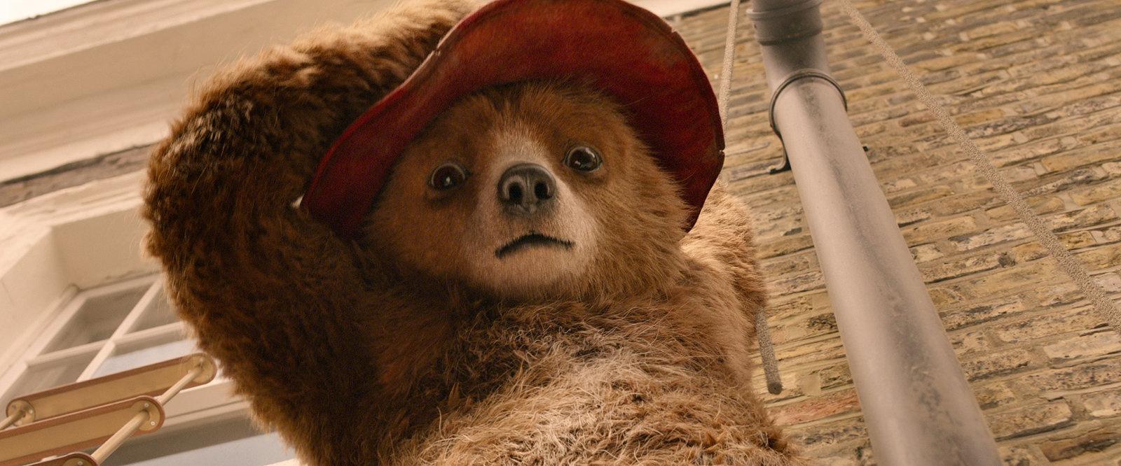 Produktbild Paddington 2 7 von 12