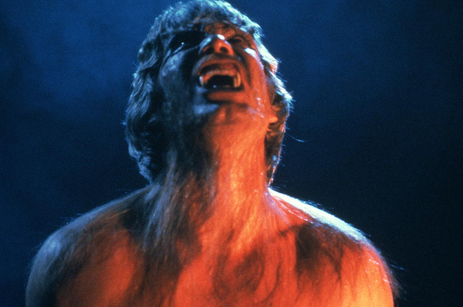 Produktbild The Howling - Das Tier - Digital Remastered in 4K 6 von 12
