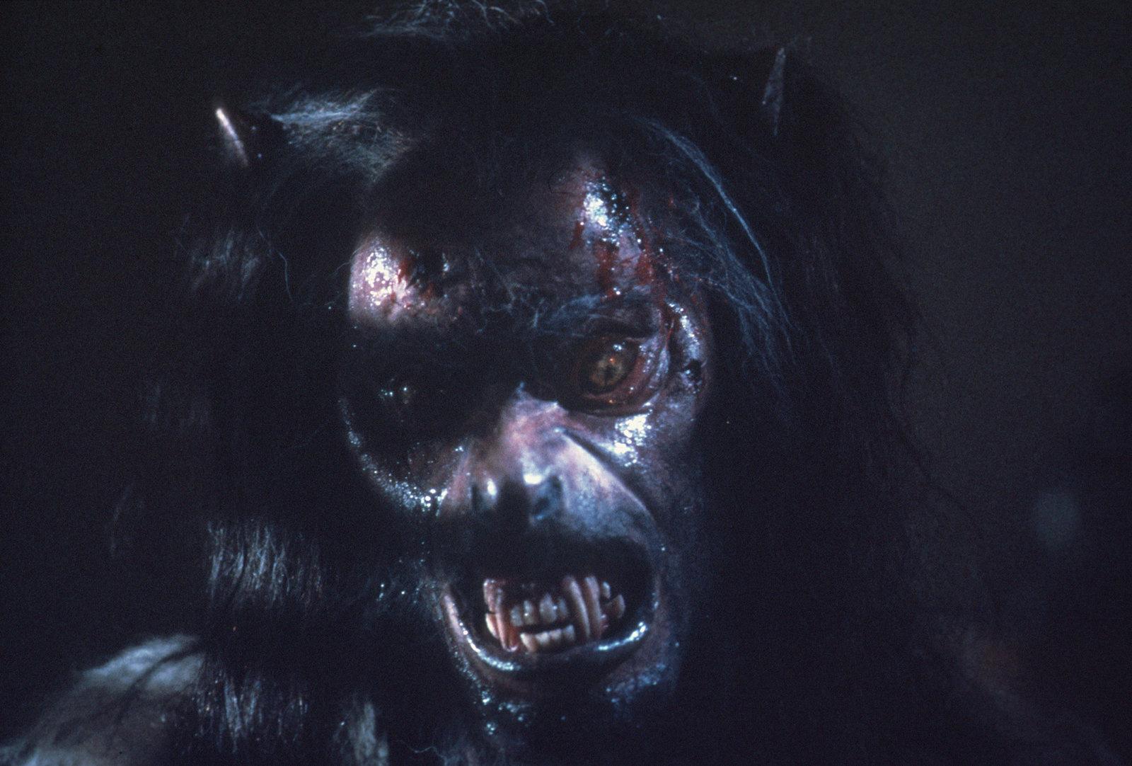 Produktbild The Howling - Das Tier - Digital Remastered in 4K 7 von 12