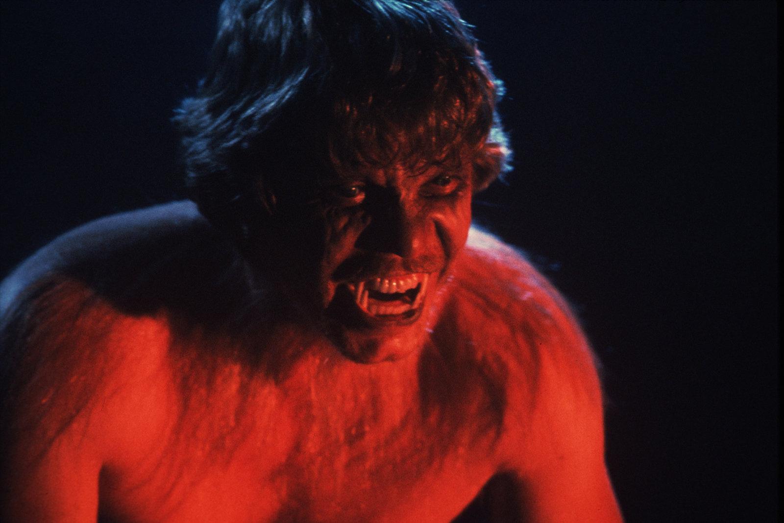 Produktbild The Howling - Das Tier - Digital Remastered in 4K 9 von 12