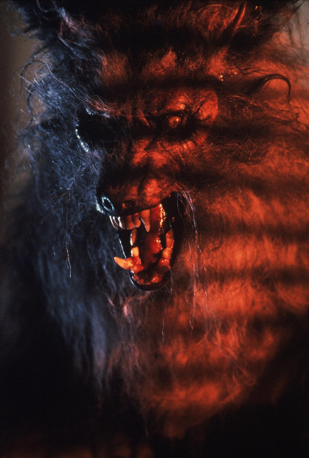 Produktbild The Howling - Das Tier - Digital Remastered in 4K 10 von 12