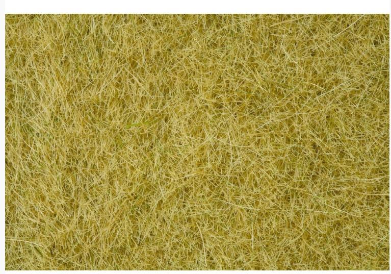 Produktbild NOCH 07101 - Wildgras, beige, 6 mm 2 von 2