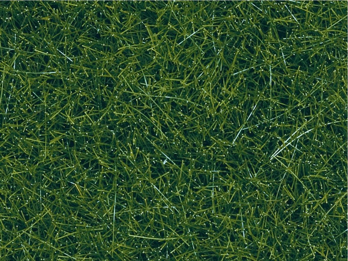 NOCH 7120 - Wildgras