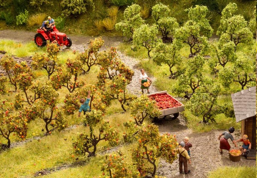 Produktbild NOCH 21532 H0 - Plantagenbäume mit Äpfeln 3 von 3