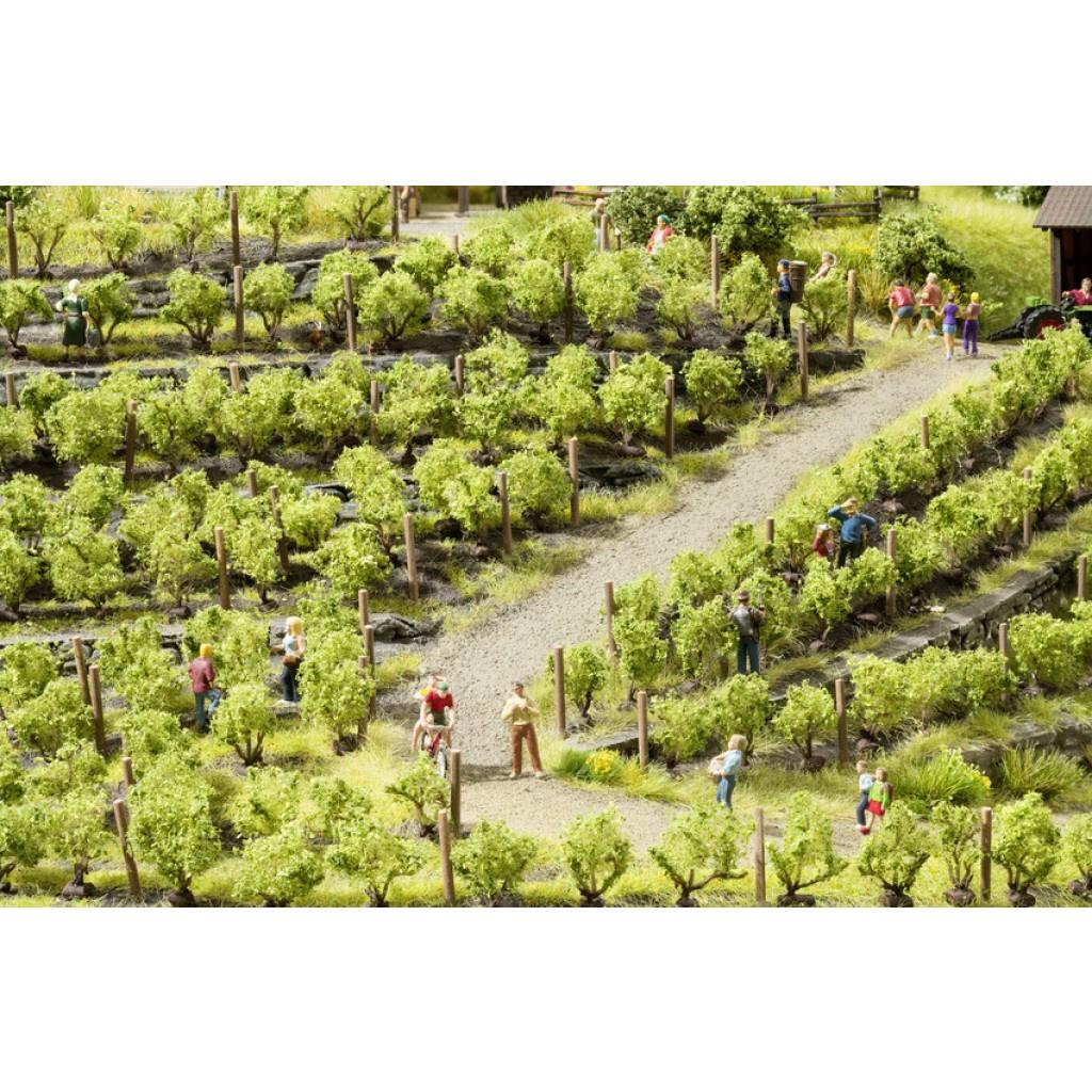 Produktbild NOCH 21540 H0 - Weinreben 2 von 3