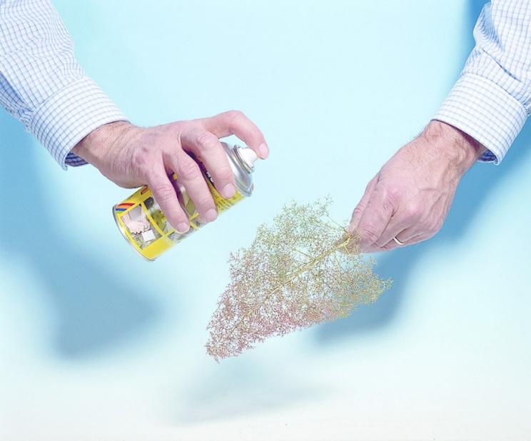 Produktbild NOCH 23100 - Naturbäume 3 von 6