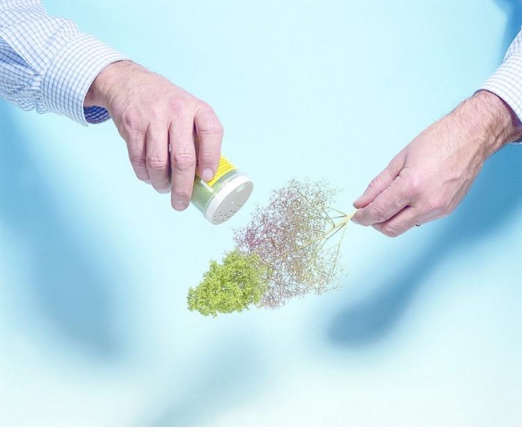 Produktbild NOCH 23100 - Naturbäume 4 von 6
