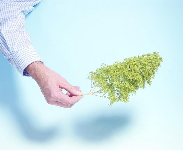 Produktbild NOCH 23100 - Naturbäume 6 von 6