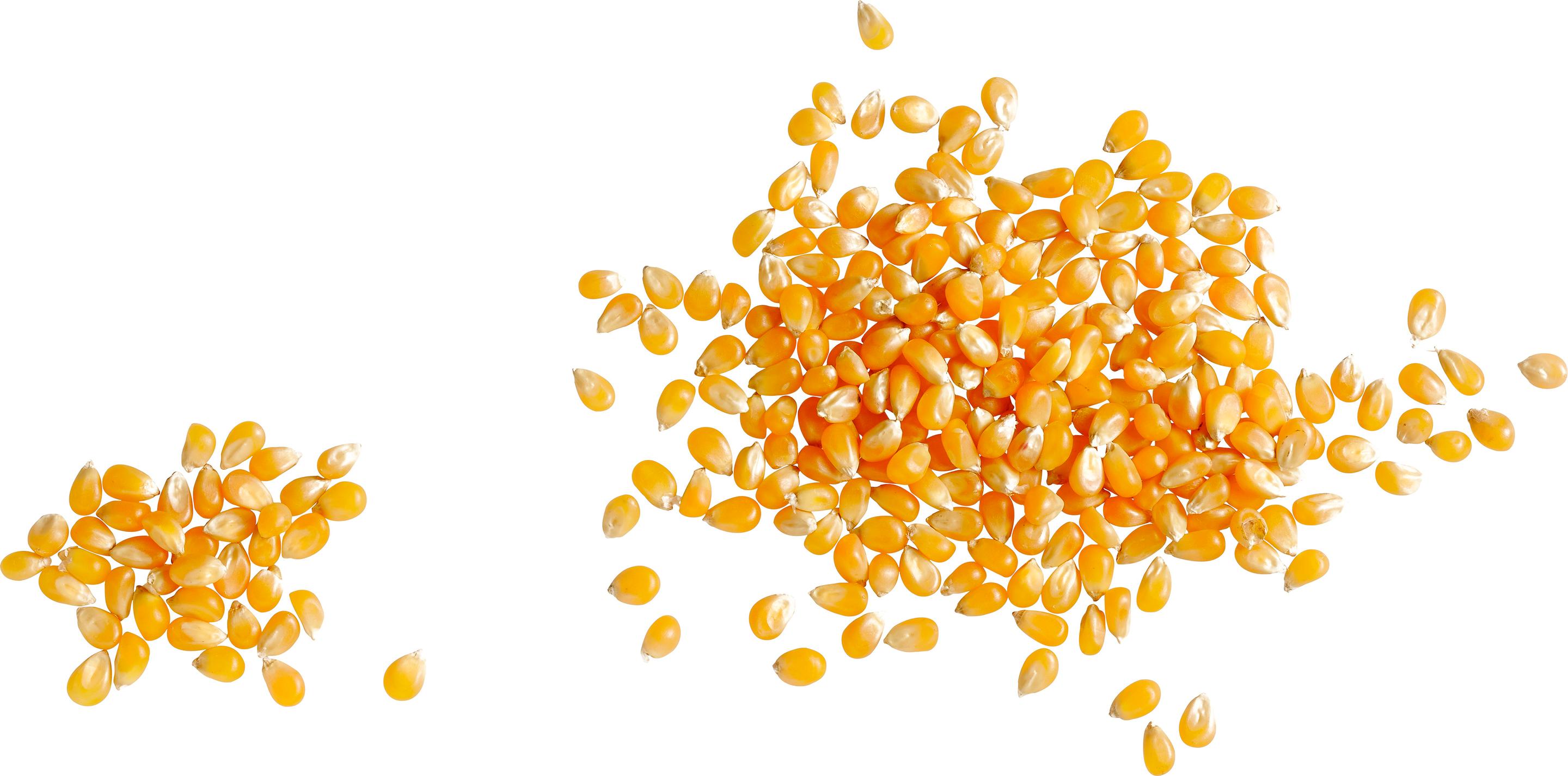 Produktbild Seeberger Popcorn-Mais 2 von 2