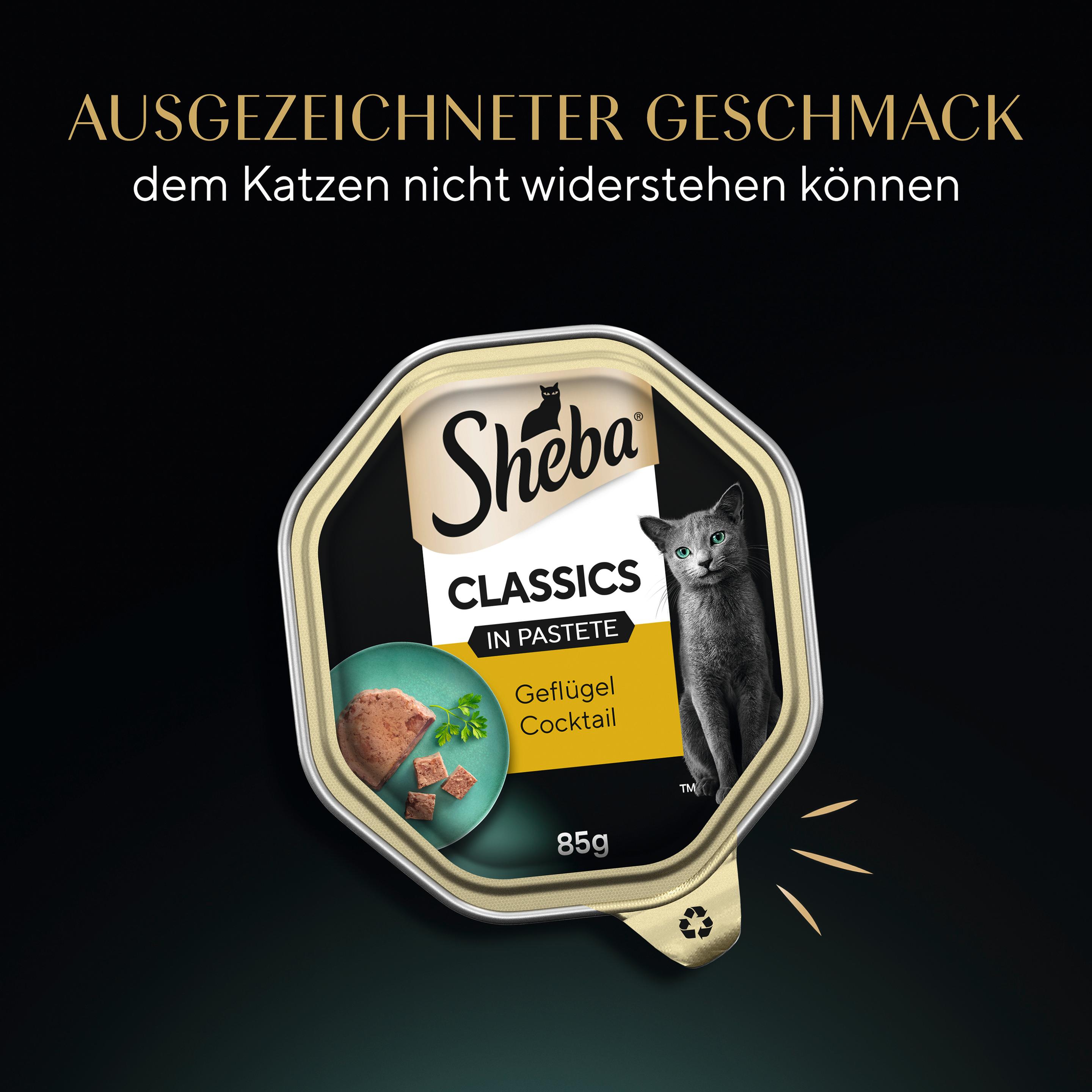 Produktbild SHEBA® Schale Classics in Pastete mit Geflügel Cocktail 85g 5 von 14