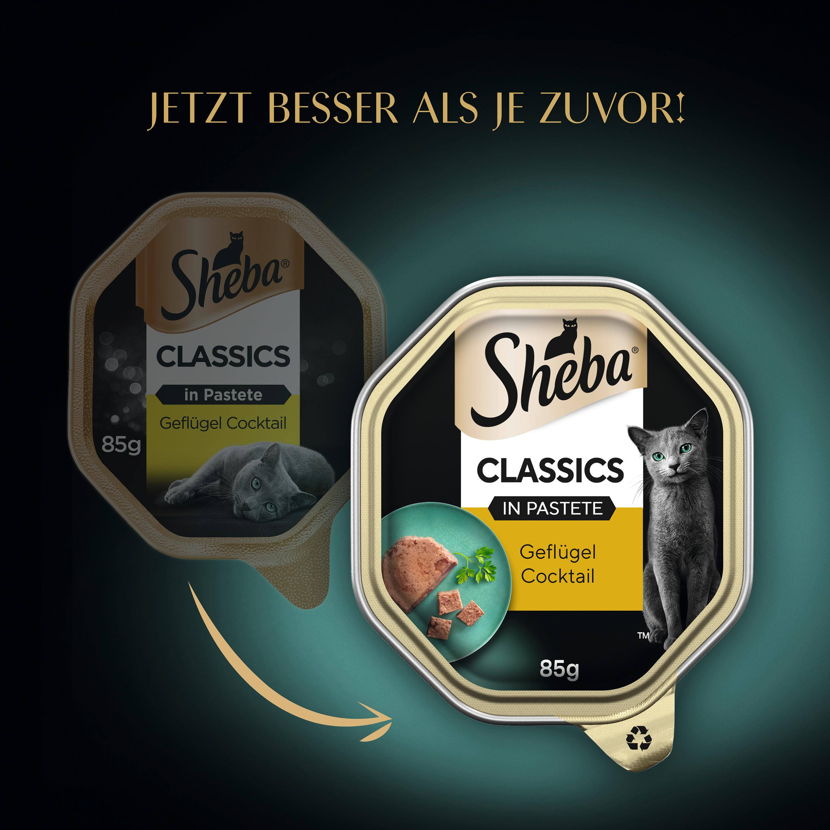 Produktbild SHEBA® Schale Classics in Pastete mit Geflügel Cocktail 85g 9 von 14