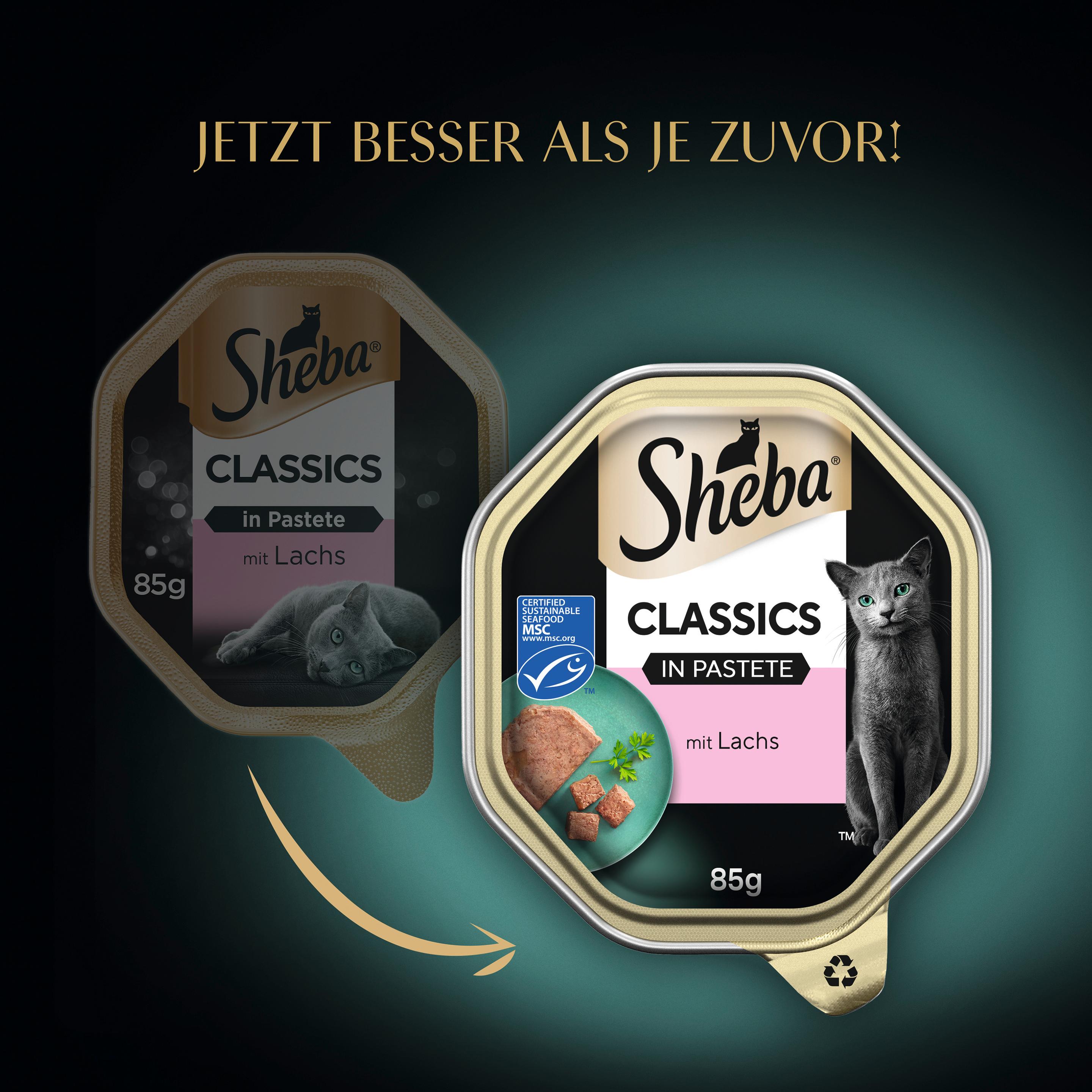 Produktbild Sheba® Schale Classics in Pastete mit Lachs MSC 13 von 15