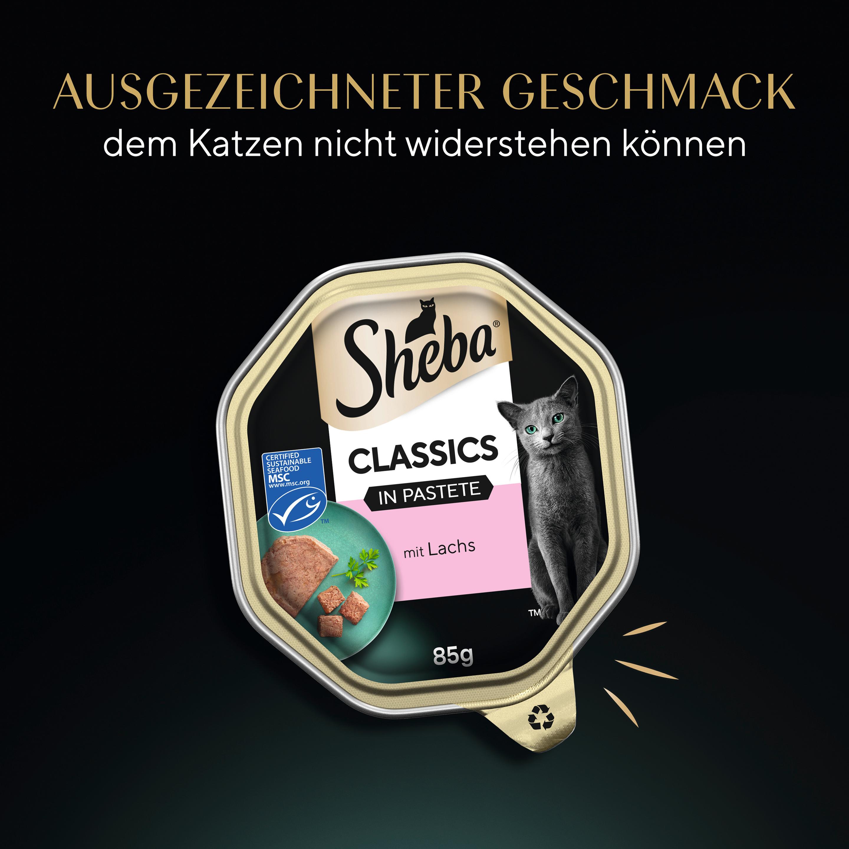 Produktbild Sheba® Schale Classics in Pastete mit Lachs MSC 4 von 15