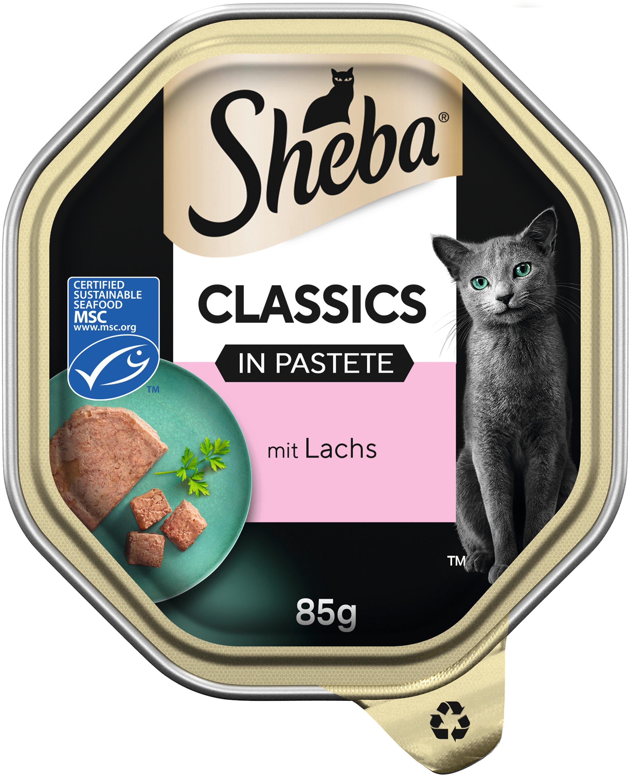 Sheba® Schale Classics in Pastete mit Lachs MSC