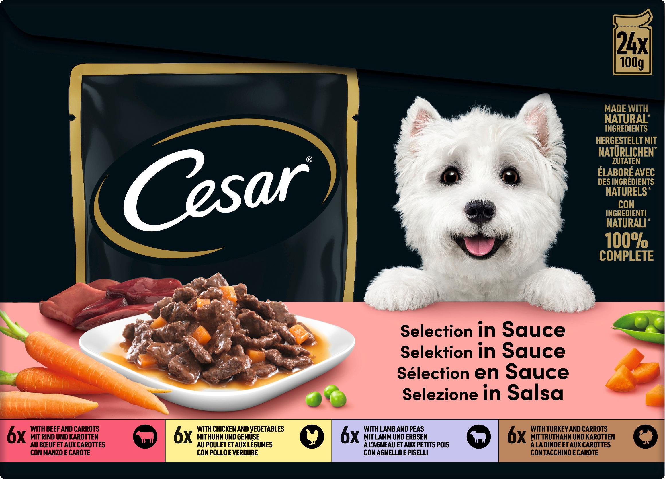 Cesar Hundenassfutter Selection in Sauce Multipack