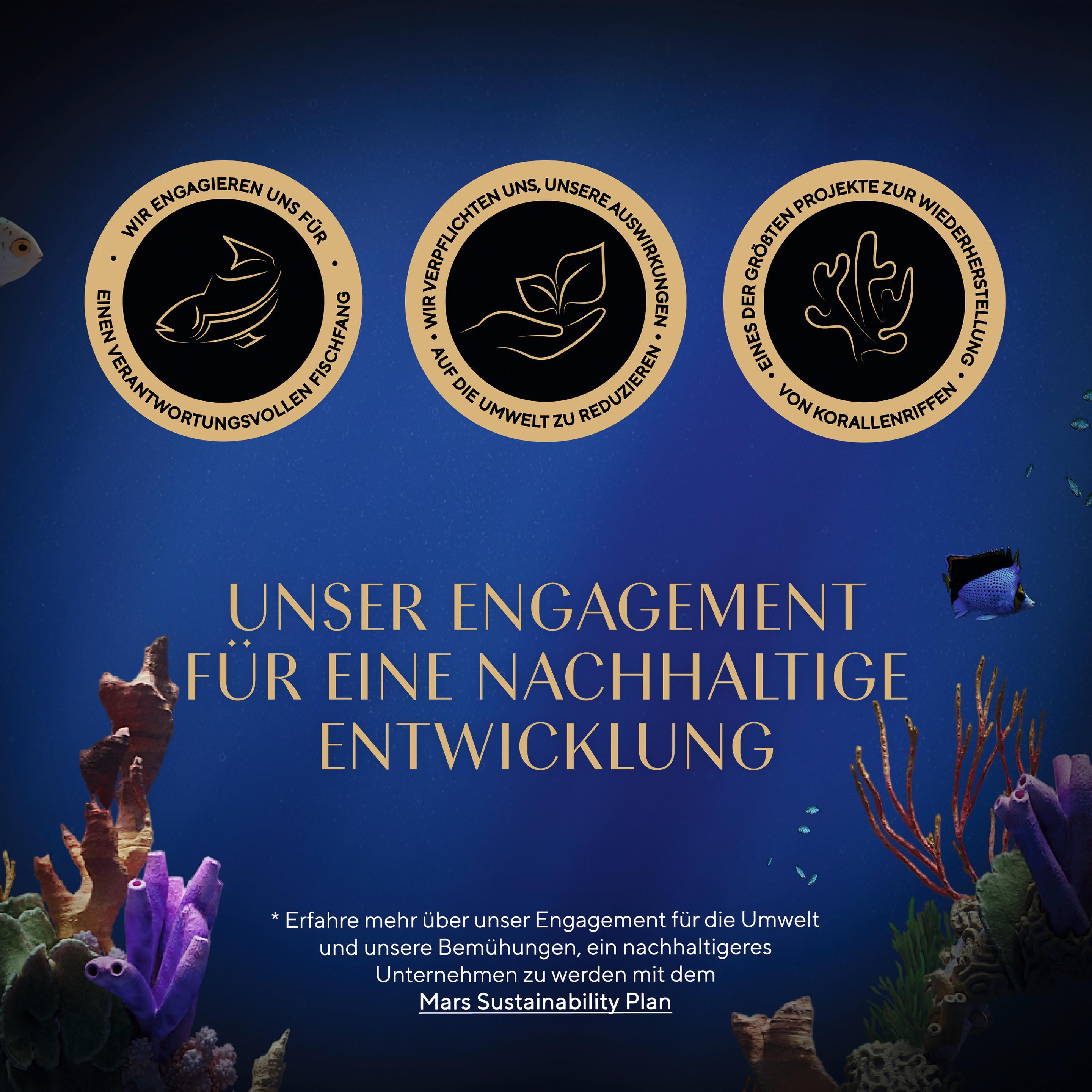 Produktbild SHEBA® Schale Filets Huhn mit Thunfisch MSC 9 von 13