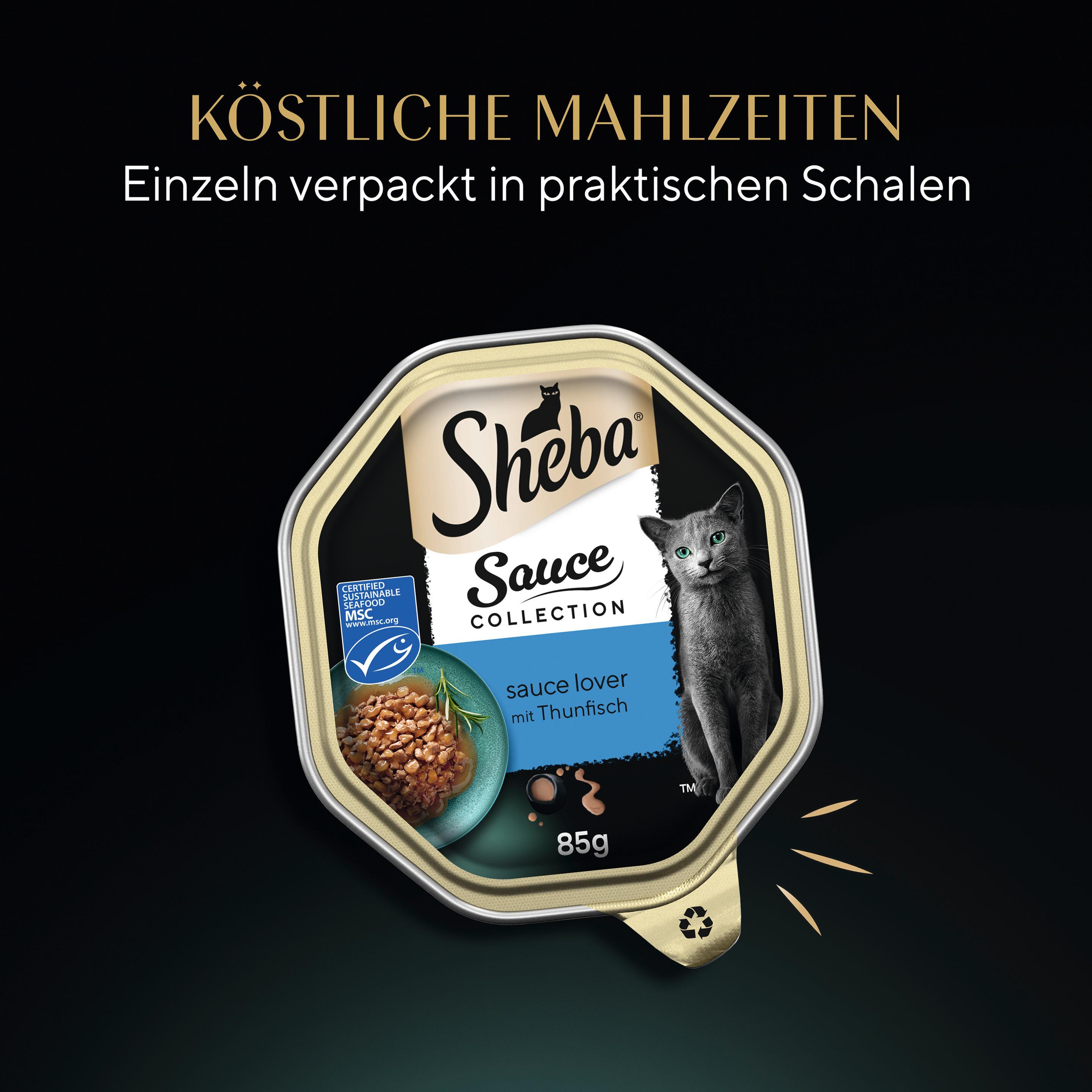 Produktbild SHEBA® Schale Sauce Lover mit Thunfisch MSC 85g 4 von 10