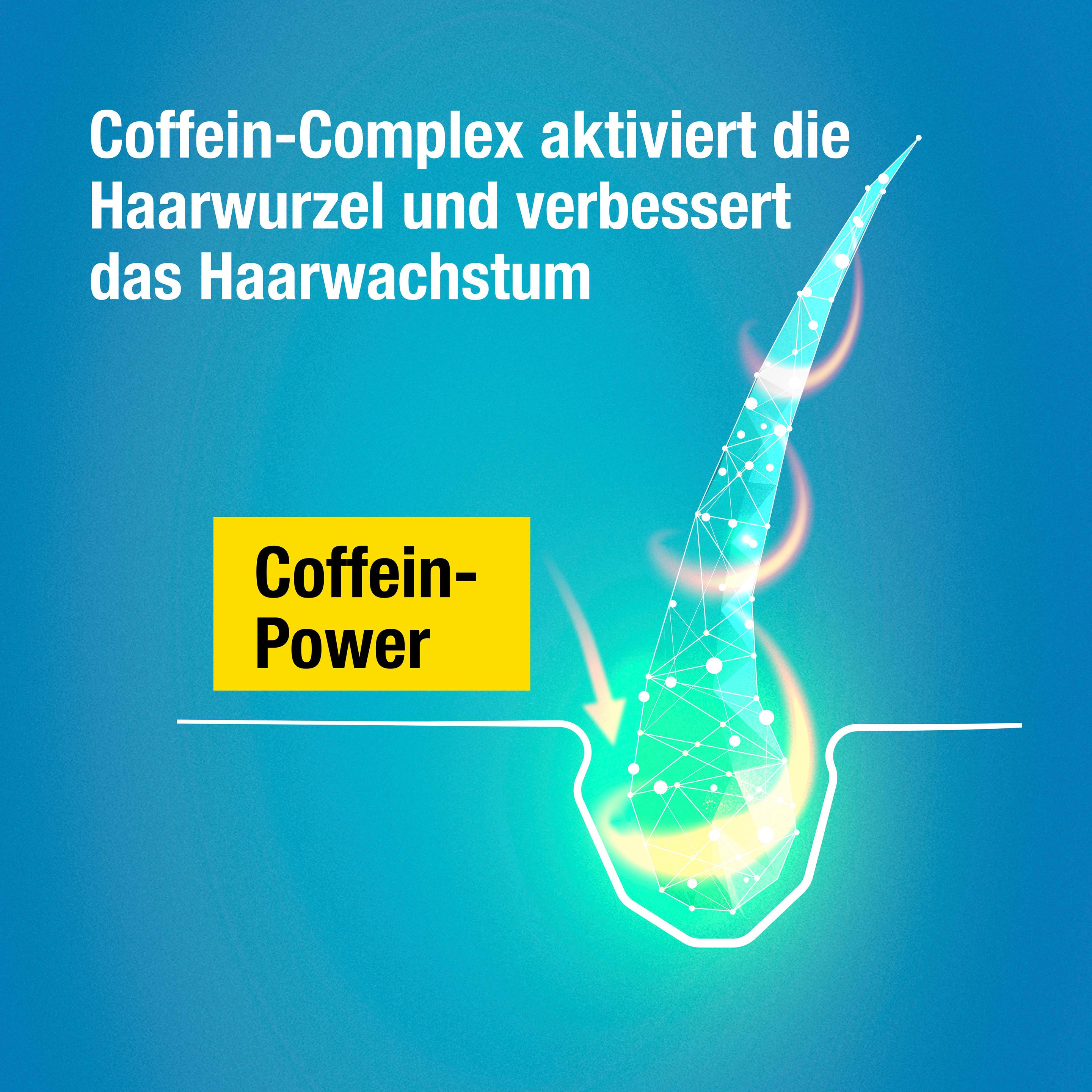 Produktbild Alpecin Hybrid Coffein-Shampoo 250ml 4 von 8