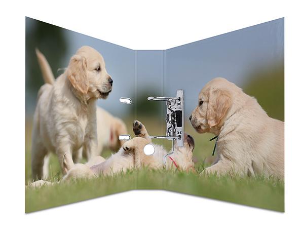 Produktbild HERMA Motiv-Ordner A4 breit Hunde 2 von 2