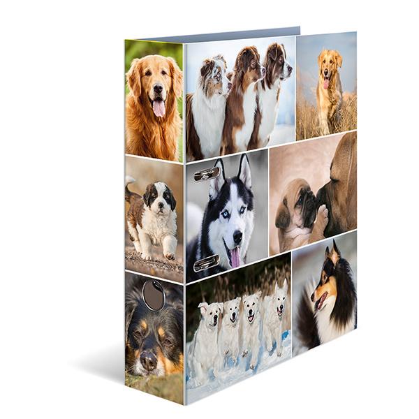 HERMA Motiv-Ordner A4 breit Hunde