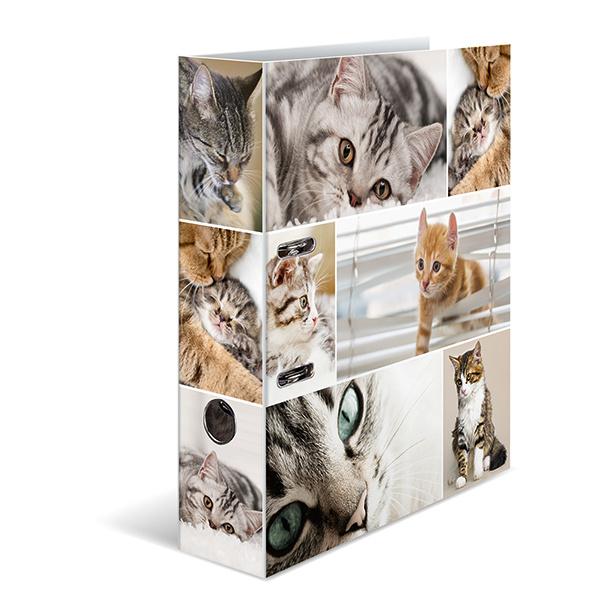 HERMA Motiv-Ordner A4 breit Katzen