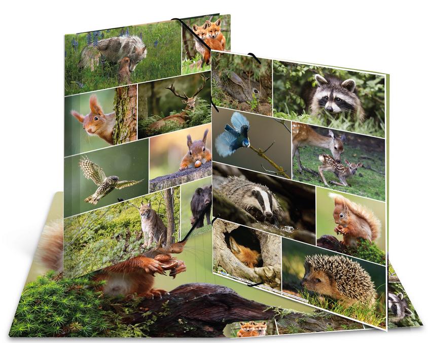 Produktbild HERMA Sammelmappe A3 Karton Waldtiere 3 von 3