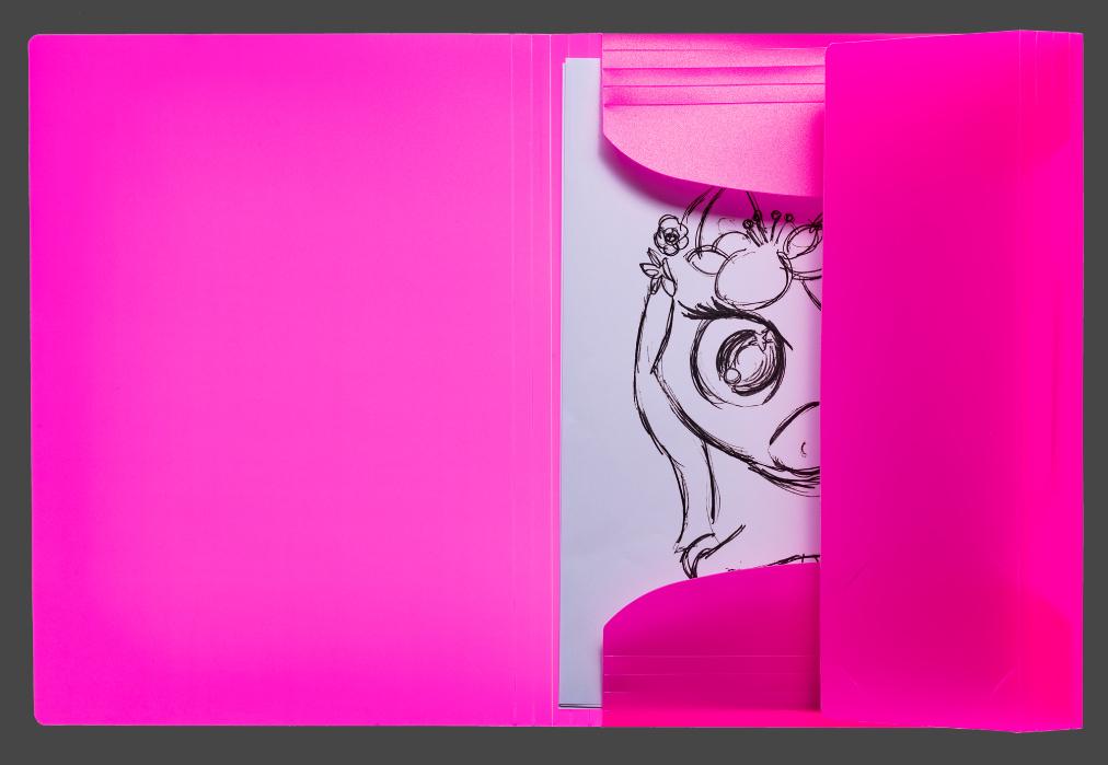 Produktbild HERMA Sammelmappe A4 PP Neon pink 4 von 4