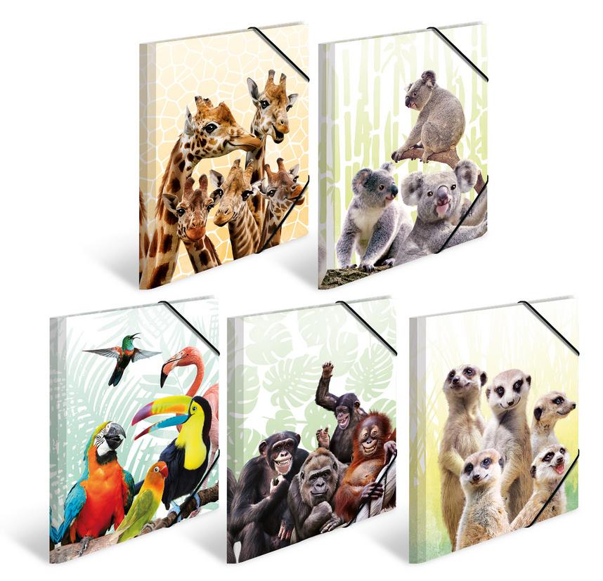 HERMA Sammelmappen A4 Exotische Tiere sortiert