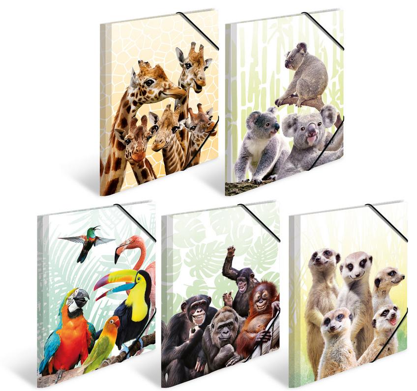 HERMA Sammelmappe A3 Exotische Tiere sortiert