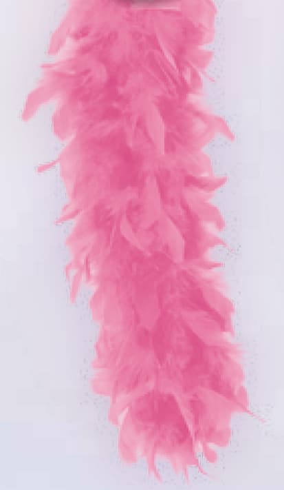 Fries 36221 - Federboa Länge ca. 180 cm, Gewicht ca. 45 Gramm