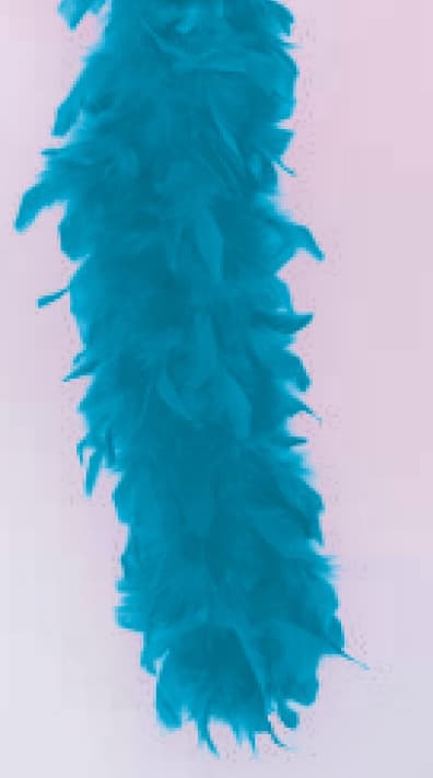 Fries 36225 - Federboa Länge ca. 180 cm, Gewicht ca. 45 Gramm